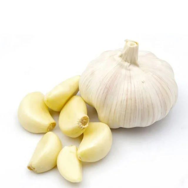 Best quality fresh Indian garlic