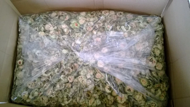 
Bitter Melon/ Bitter Gourd / Karela from Vietnam super cheap price 