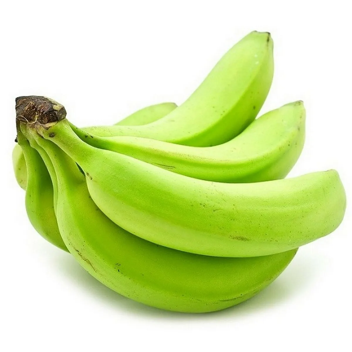 Fresh Cavendish Banana/ Musa Banana Fruit Export wholesale High Quality (Certification: GAP, HACCP...) - 100% Organic