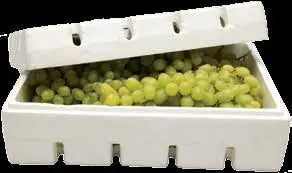 
Fresh Sweet grapes 