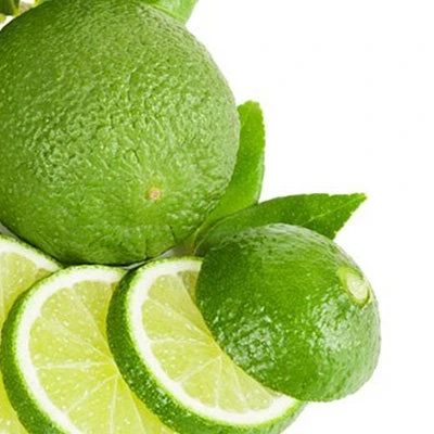 100% Natural Fresh Lime 2022 From Vietnam, Fresh Lemon Seedless Export Quality With Good Price