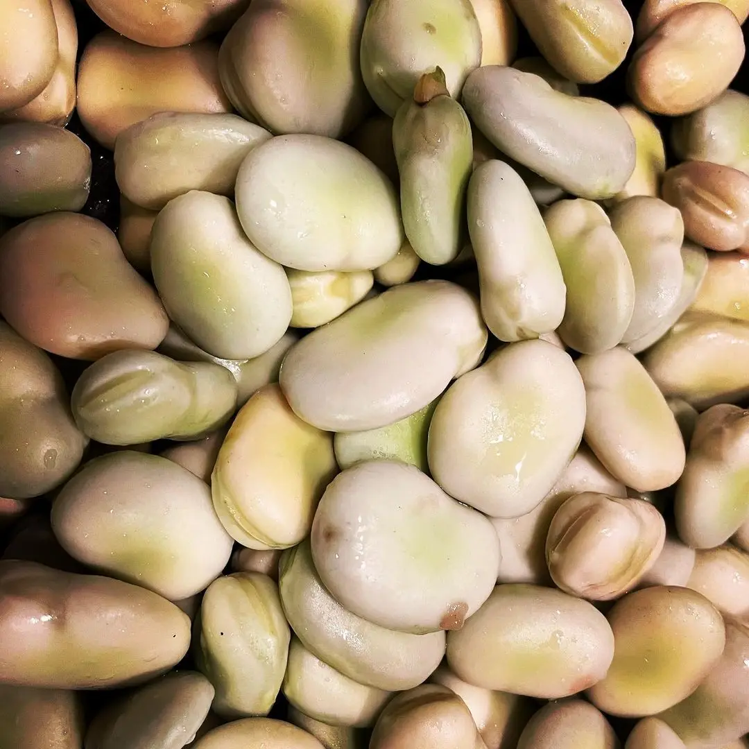 Фасоль Iqf, свежие замороженные фасоли