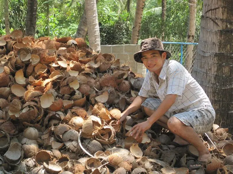 Raw Coconut With Best Quality/Cheap Raw Coconut Shells for making charcoal from Vietnam