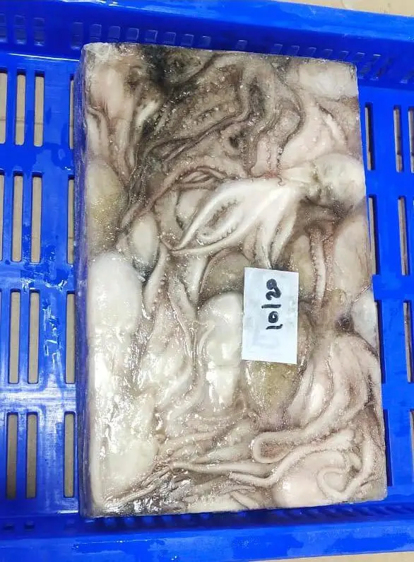 Замороженный осьминог, весь блок замороженный из Индии