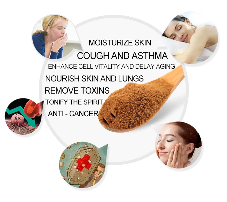 
FocusHerb pure ganoderma lucidum polysaccharide extract 