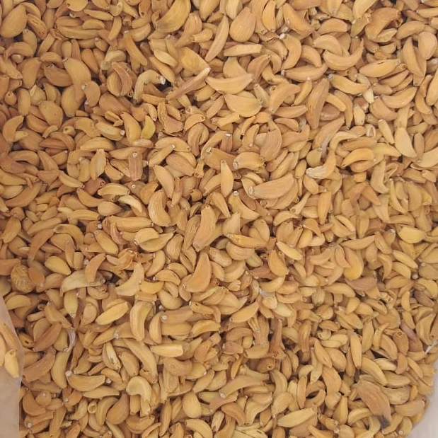 Fresh Dehydrated Garlic Flakes and cloves Indian origin