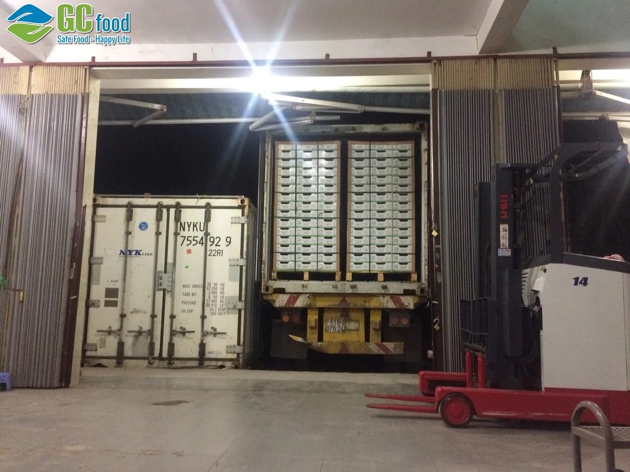 High Quality from VietnamFresh Young Coconut Premium Tropical - 100% organic fresh coconut