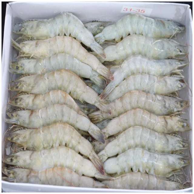 
Frozen Red Shrimp Headless White Pud Large Crystal Shrimp Vannamei Culture Per Piece Frozen Breaded Shrimp With White Crumb 