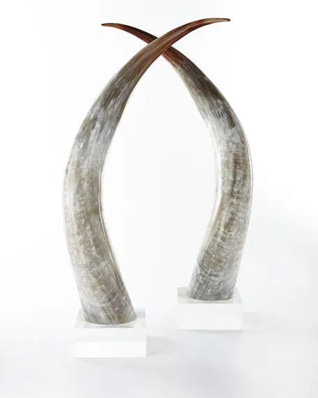 Decorative Mounted Natural Buffalo Horn