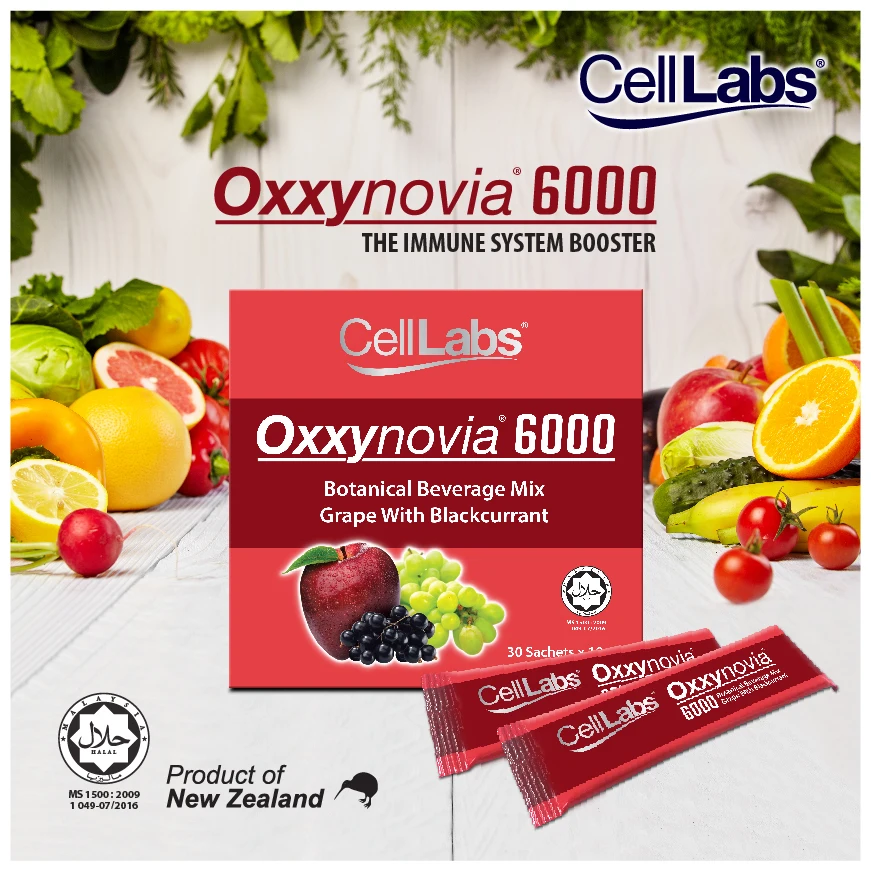 
Malaysia Oxxynovia 6000 wholesales 