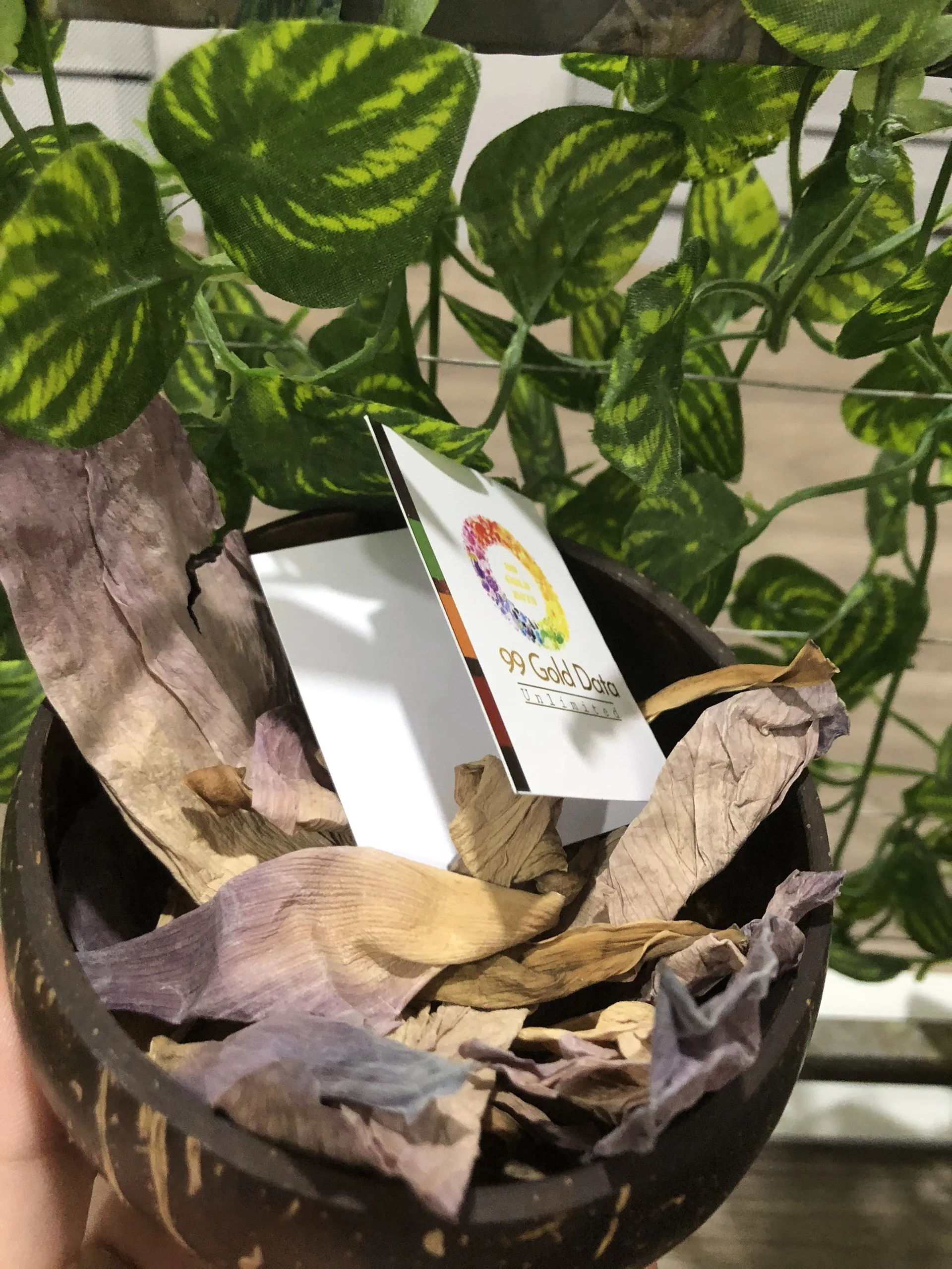 Здоровый продукт-сушеный чай с цветком лотоса травяной хорошим вкусом и красивым синим сушеный 100% натуральный 99 золотых