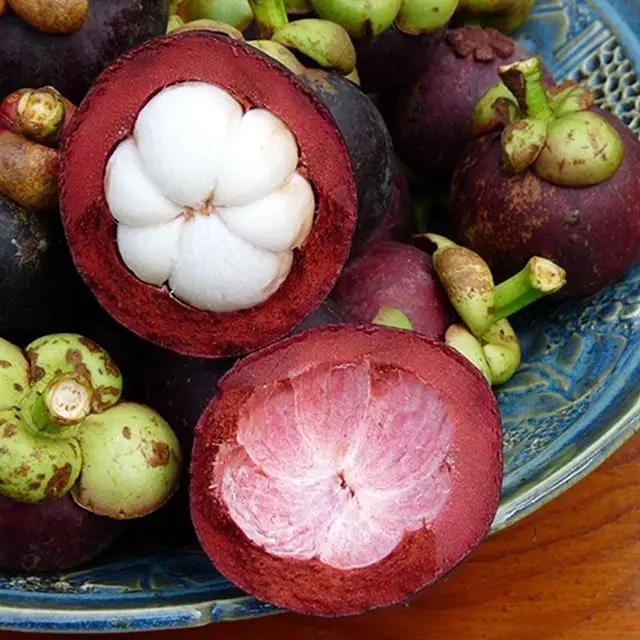 Свежий Мангостин (мангостино)