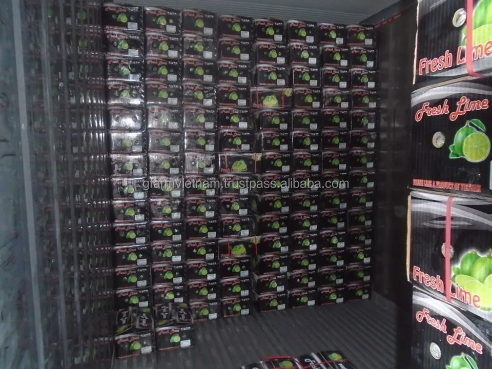 
Price 2020 for green lime export good quality 