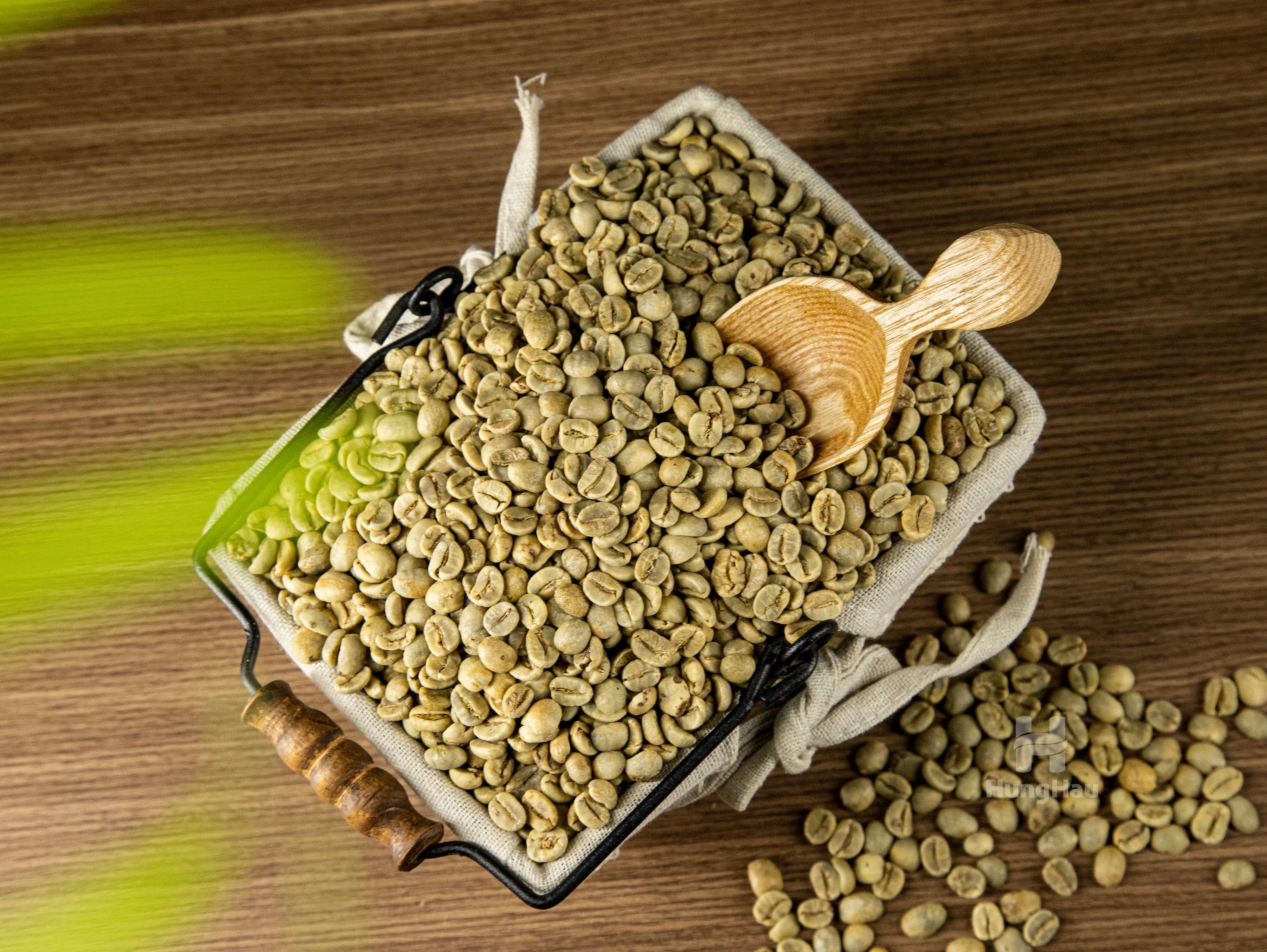 
Robusta coffee beans best price 