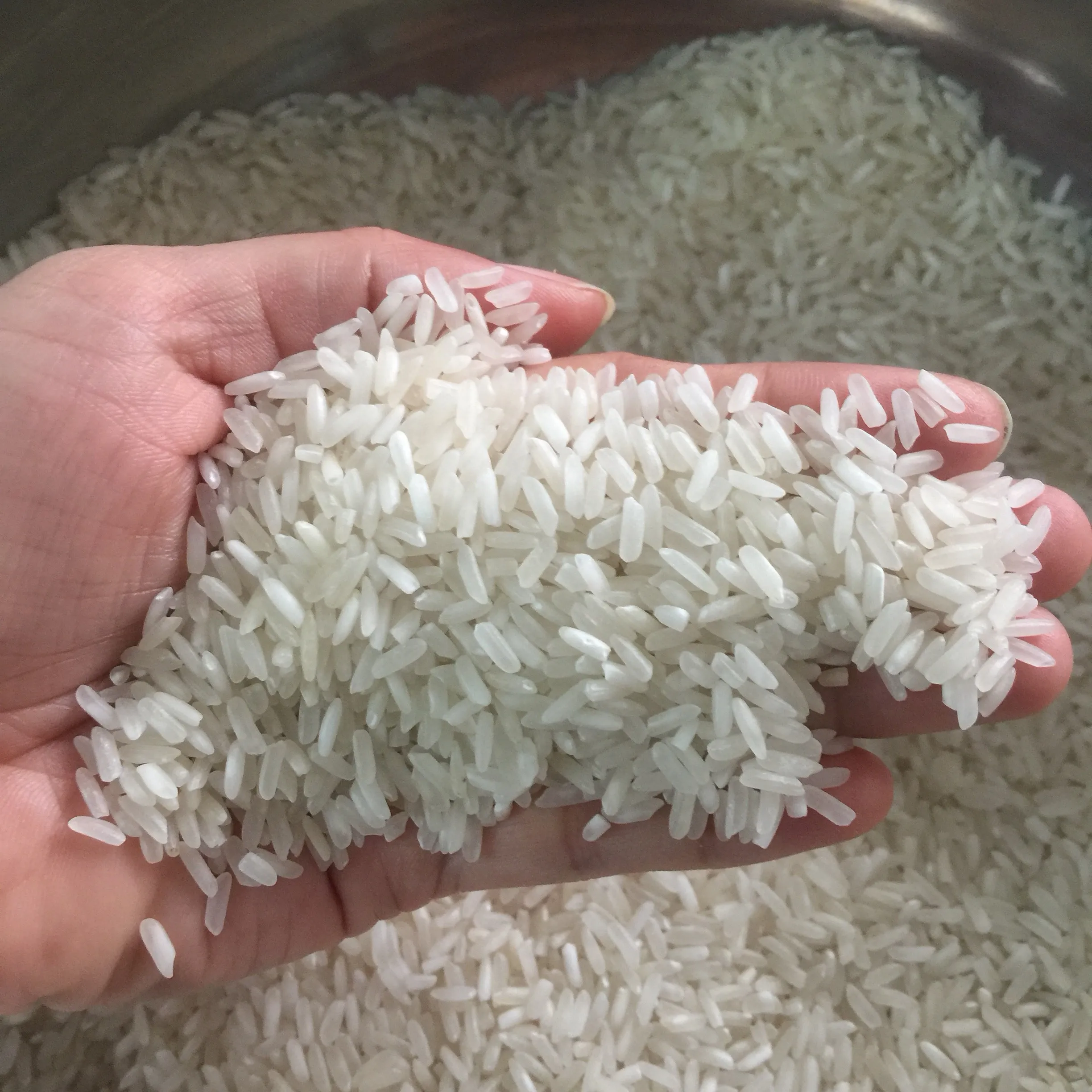 Hard texture and white rice type PRICE 50KG RICE