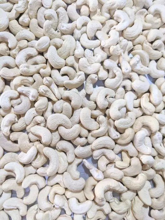 Недорогие орехи кешью/орехи кешью размер W180 W240 W320 W450/сертифицированные WW320 Вьетнам