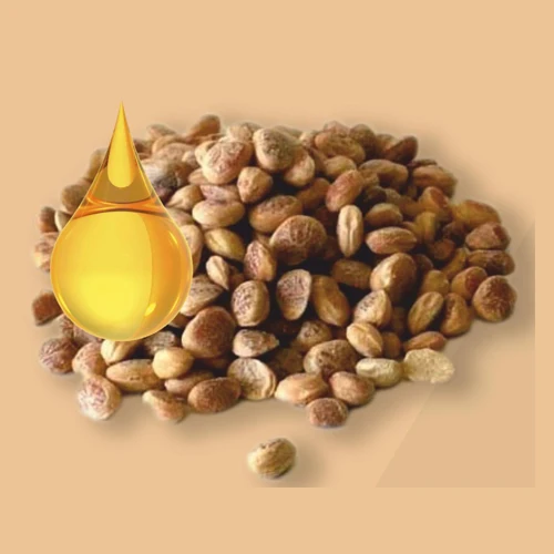 OMRI Registered Organic Certified Best Price Karanja Oil from Enviro Brand