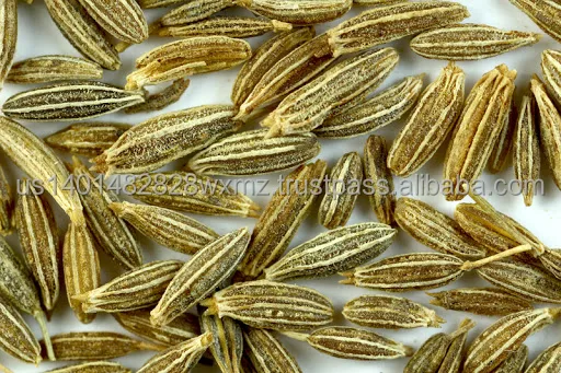 HIGH QUALITY CUMIN SEEDS EXPORT PRICE