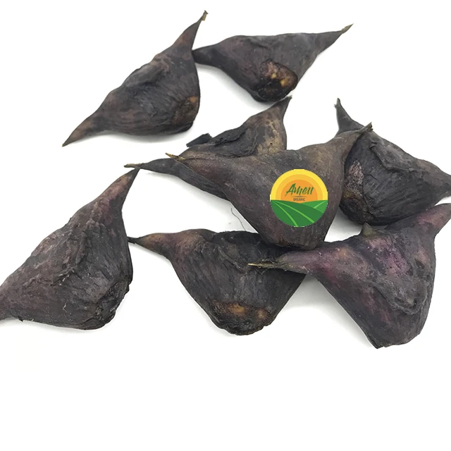 HIGH QUALITY WATER CALTROP FROM VIET NAM