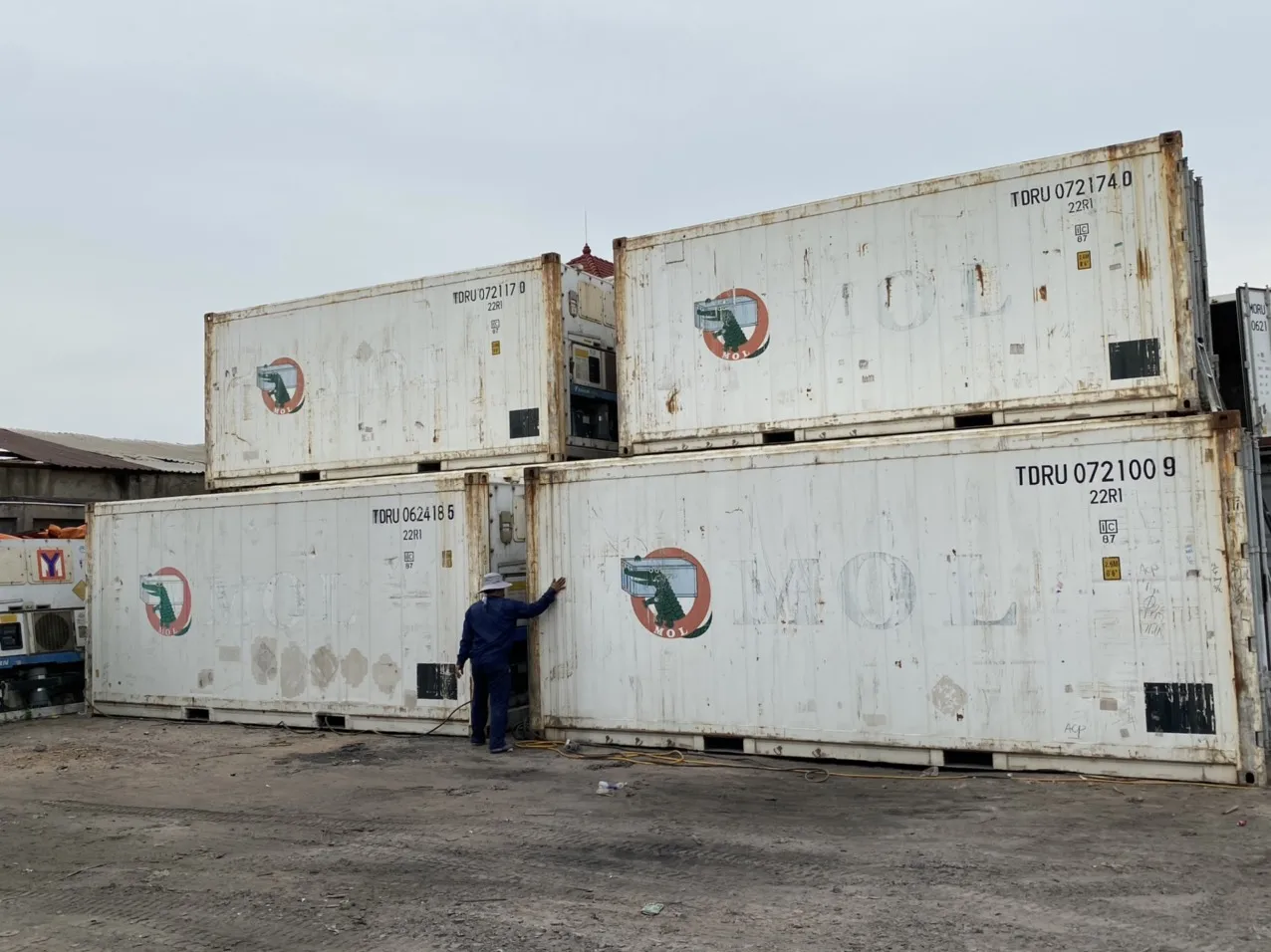 Max 10HP Min 6.5HP Power CSC Certificated 20 feet Reefer Standard Container - Used Made from Vietnam