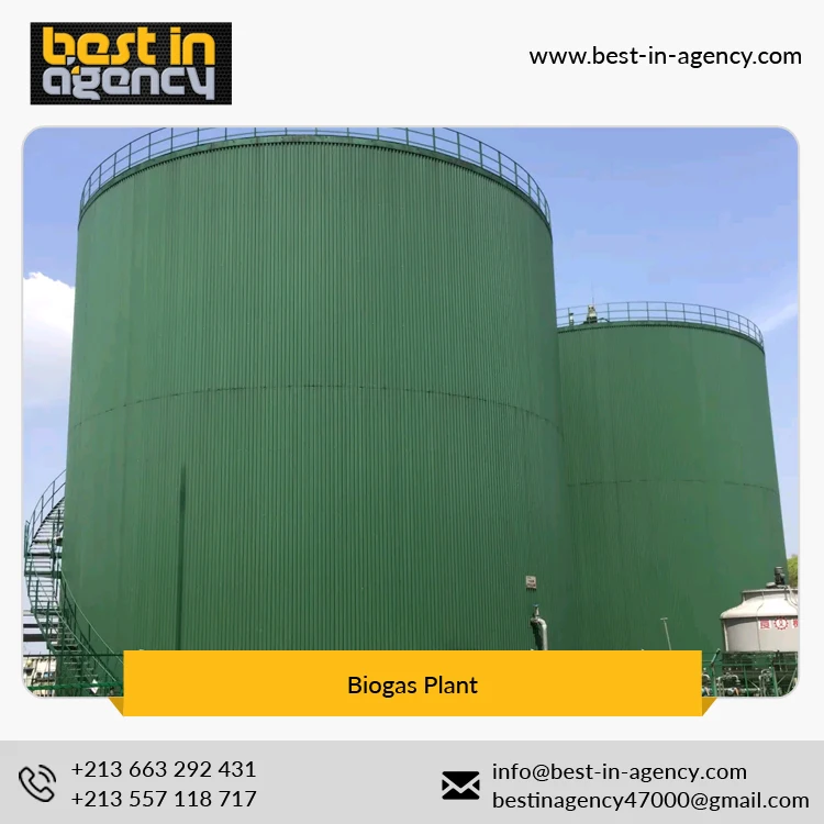 
20000 Nm3/Day Biogas Production Project with Cstr Anaerobic Digestion Tank Biogas Plant 