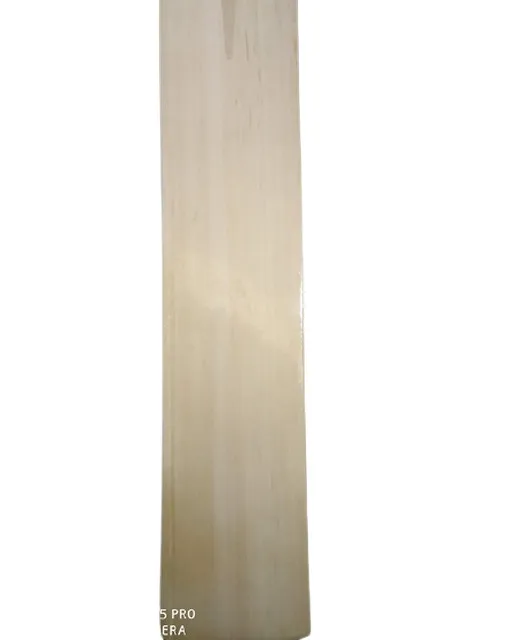 Wholesale Factory India Made Professional Players Cricket Bat for Export Sale at Affordable Price from India