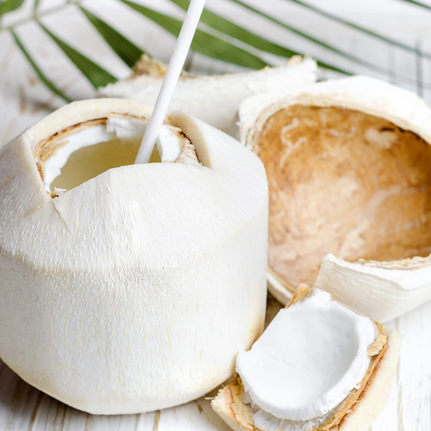 Fresh Young Coconut from thailand Peeled Fresh Coconut exporter Thai fruit Fresh Coconuts thailand