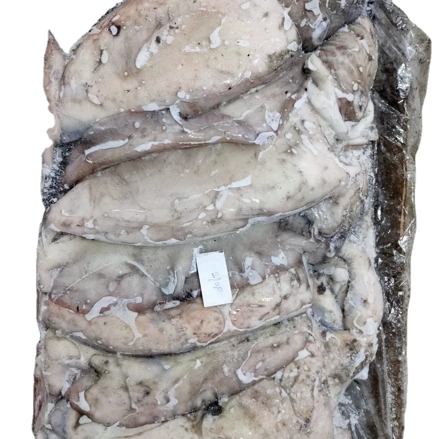 Frozen Healthy & Fresh Cuttlefish Export Morocco Sepiida Seiches At Reasonable Price