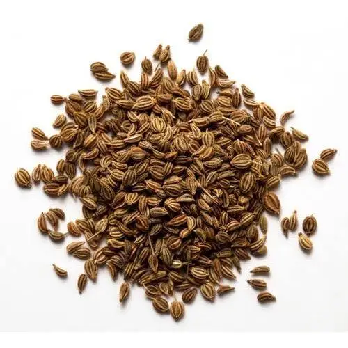 Best quality Ajwain seed / organic Ajwain seeds