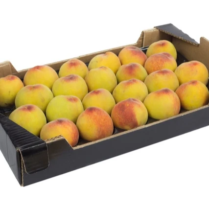 
Fresh Peach Rich May 