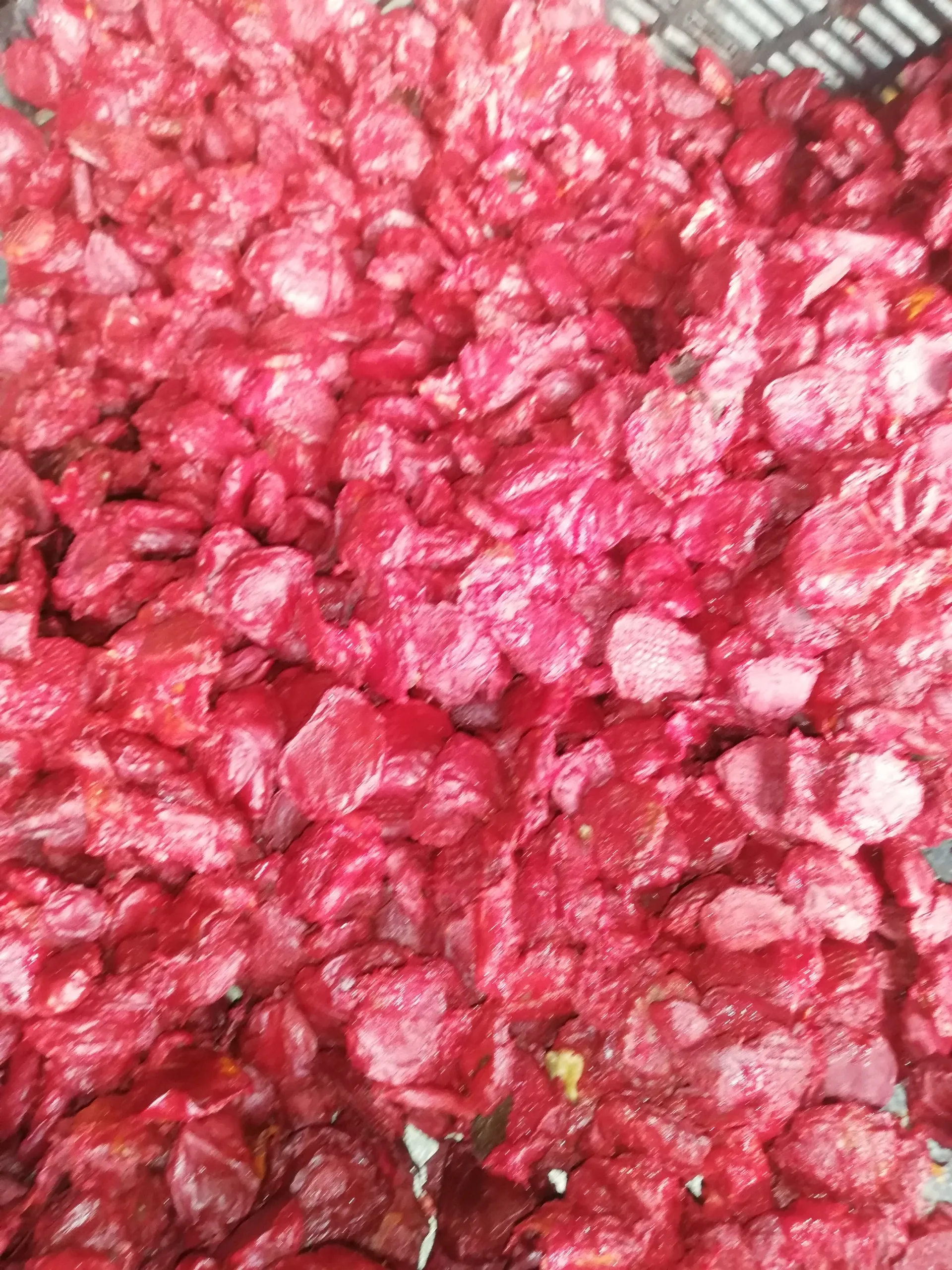 Высококачественные семена красного гака 100% натуральные органические здоровые фрукты из Вьетнама