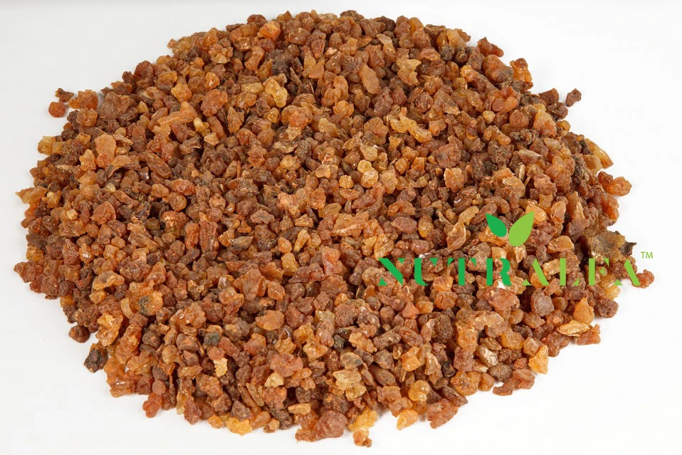 Gum Myrrh Premium Pea Size