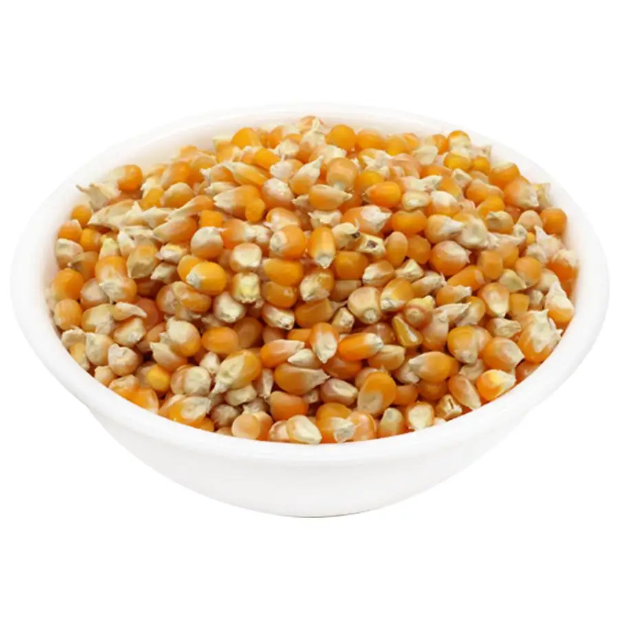 Wholesale Price Yellow Corn High Quality Yellow Maize Corn for Animal Feed Supplier.