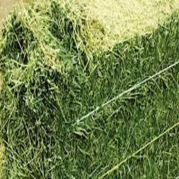 Organic Alfalfa Hay/Alfalfa Grass Hay/Alfalfa Hay Pellets For Animal Feed