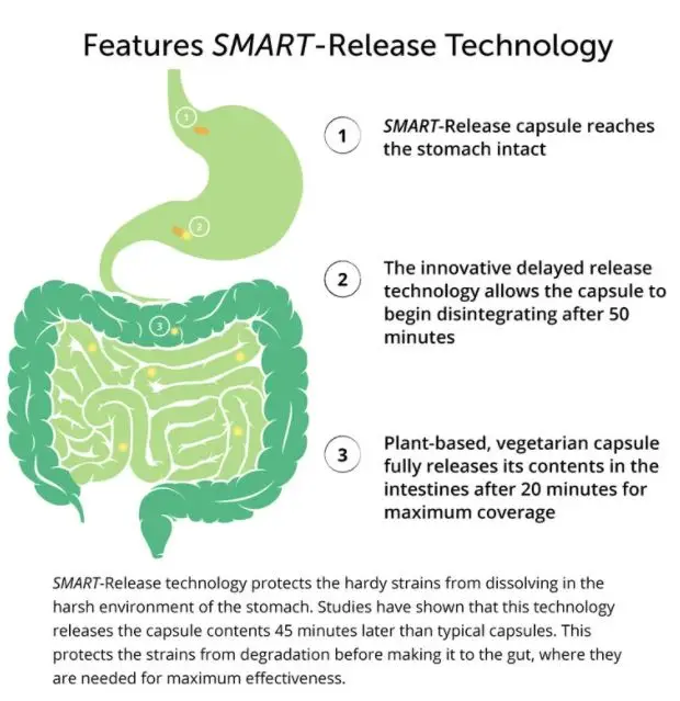 
Dr Drew Sinatras LifeBiome Gut Restore Microbiome Probiotic With Fermented Botanicals, 11 Multi Strains, 30 Day Supply 
