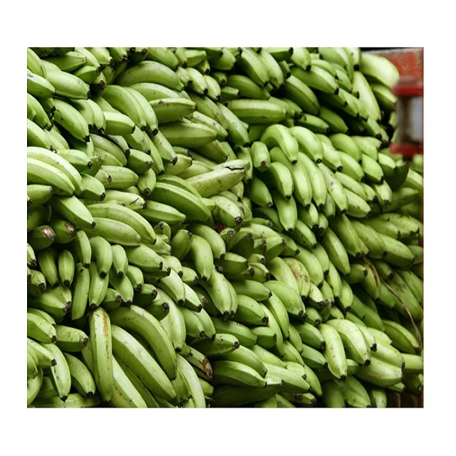Новейший Урожай Cavendish Banana-высококачественный банан из Вьетнама-оптовая продажа для Banana GLOBAL