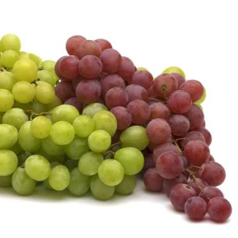 Delicious red and green seedless Fresh Grapes Available
