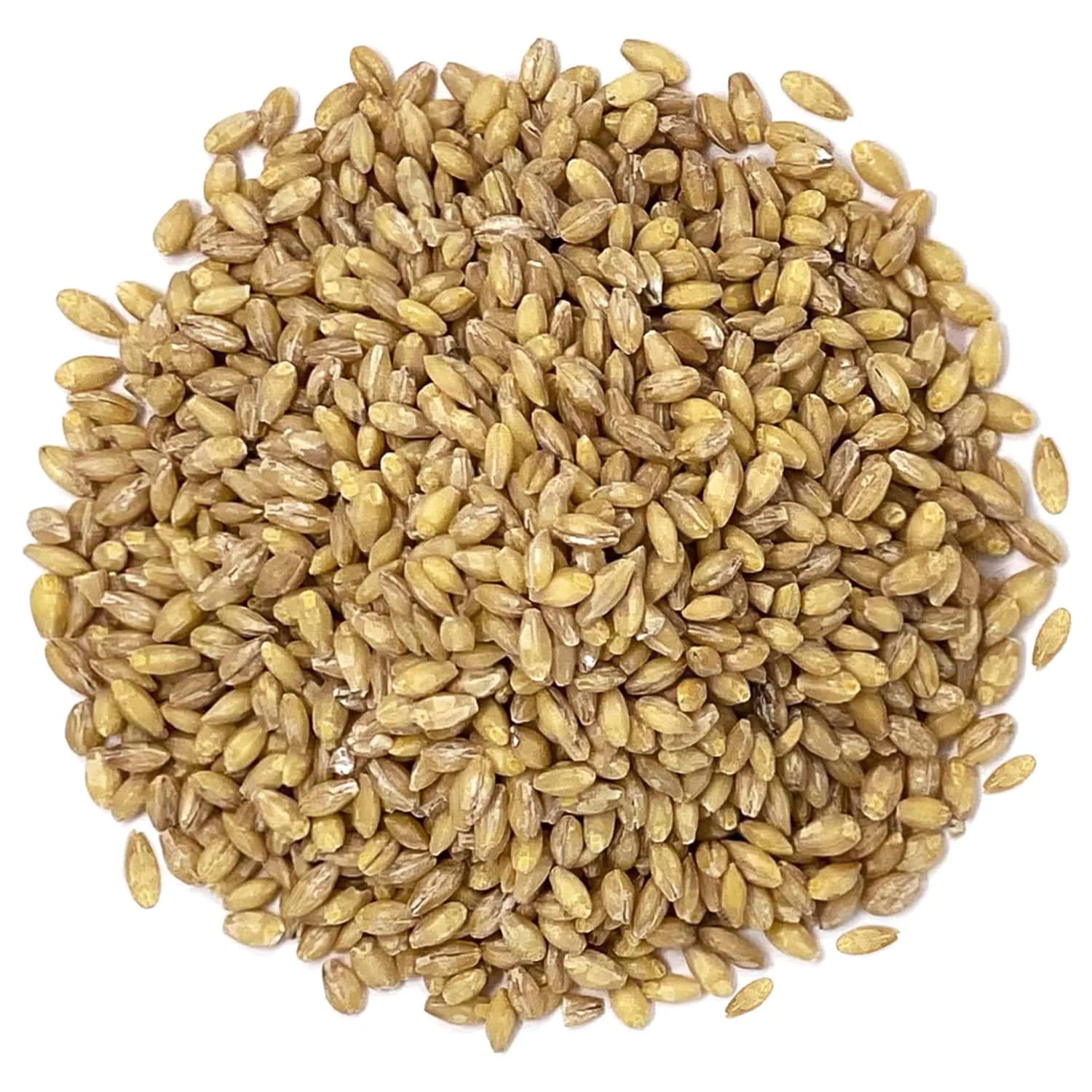 Barley Max Yellow White Animals Customized Crop Style Packaging Color Brown Origin Type Year Dried PROTEIN Supply Min Broken