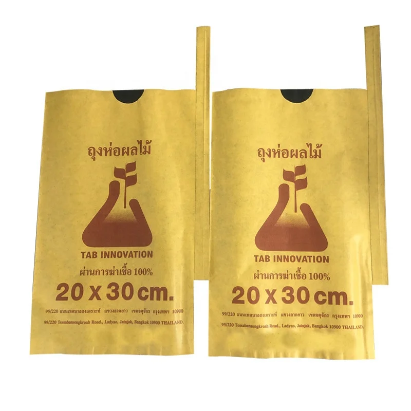Manufacturer supply wholesale Bangladesh fruit paper bag mango growing bag fruit protection growing bag