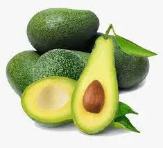 High Quality Wholesale Avocado Grain Seller From India