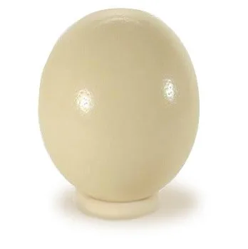 OSTRICH EGGS