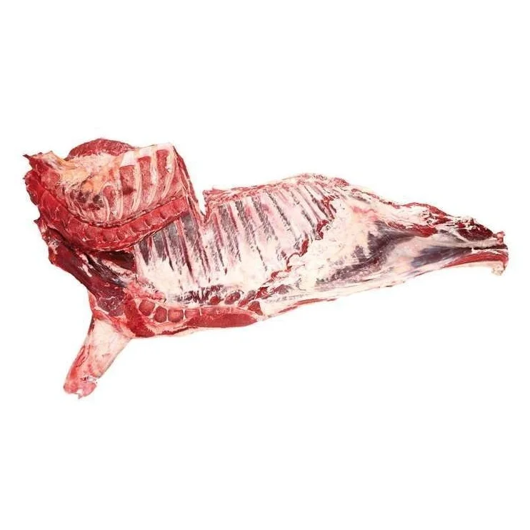 Wholesale Best Price Supplier of Frozen / Fresh Beef Forequarter, Frozen Beef Cut fore-quarter, Beef Meat with Fast Delivery