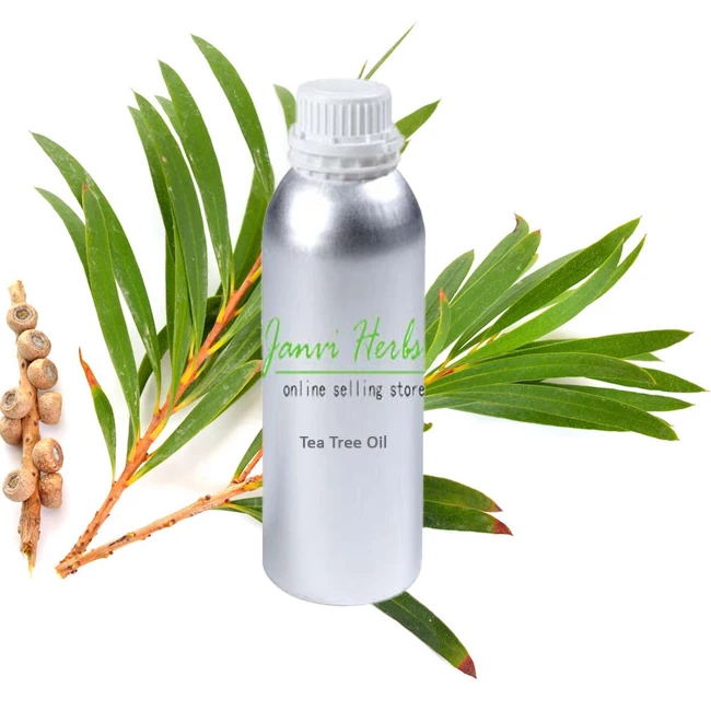 Best Quality 100% Pure Natural Indian Tea Tree essential Oil wholesale supplier