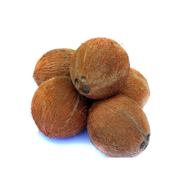 Delicious Nutritious & Organic semi husked coconut buyers and suppliers manufacturers traders from india