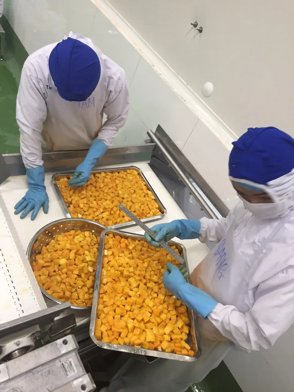 Питательные мелкие кусочки замороженные фрукты естественный сладкий IQF манго игральные кости Упакованные оптом с вьетнамским экспортным