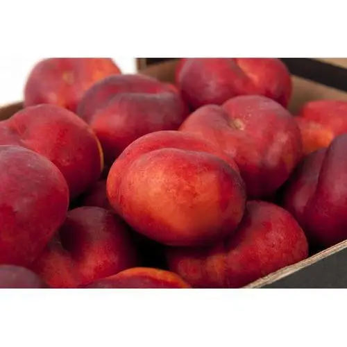 
Fresh Peaches / Fresh Nectarines Class 