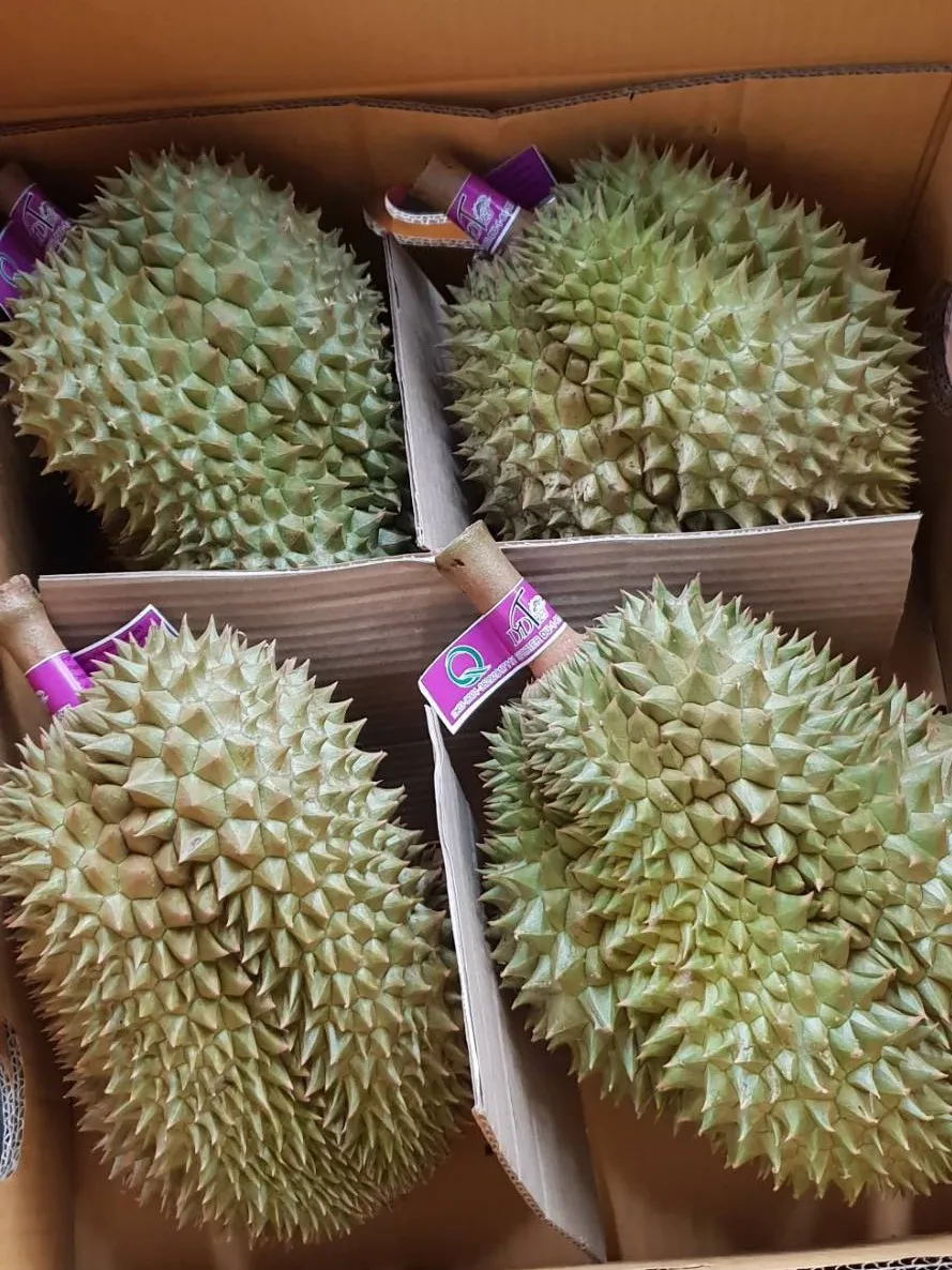 DURIAN FRUIT - DURIAN NUTRION - VIETNAM DURIAN FRUIT PRICE