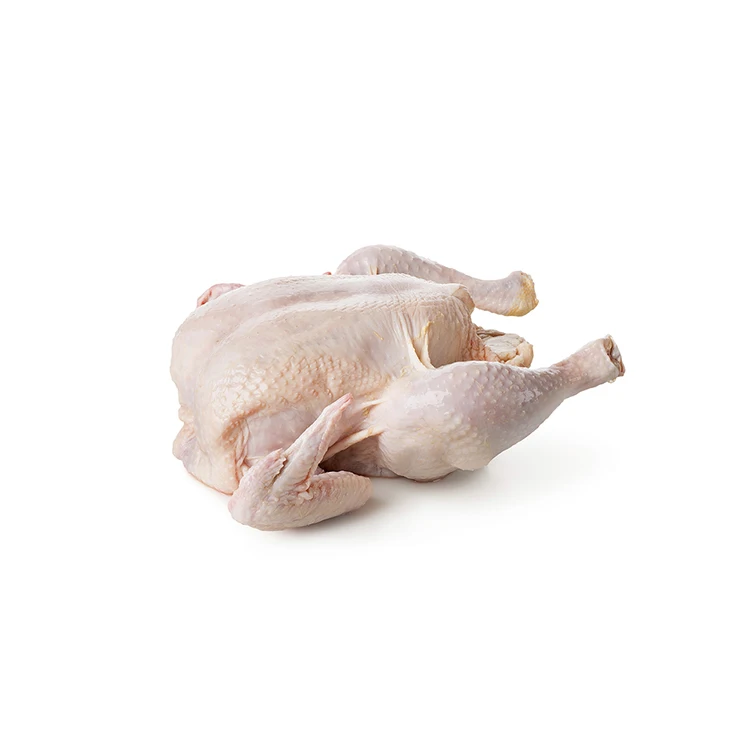 
Top Selling Wholesale Halal Whole Frozen Chicken 