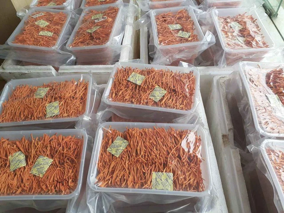 Сухой Кордицепс милитари сушеный для хорошего здоровья/MS.Donna