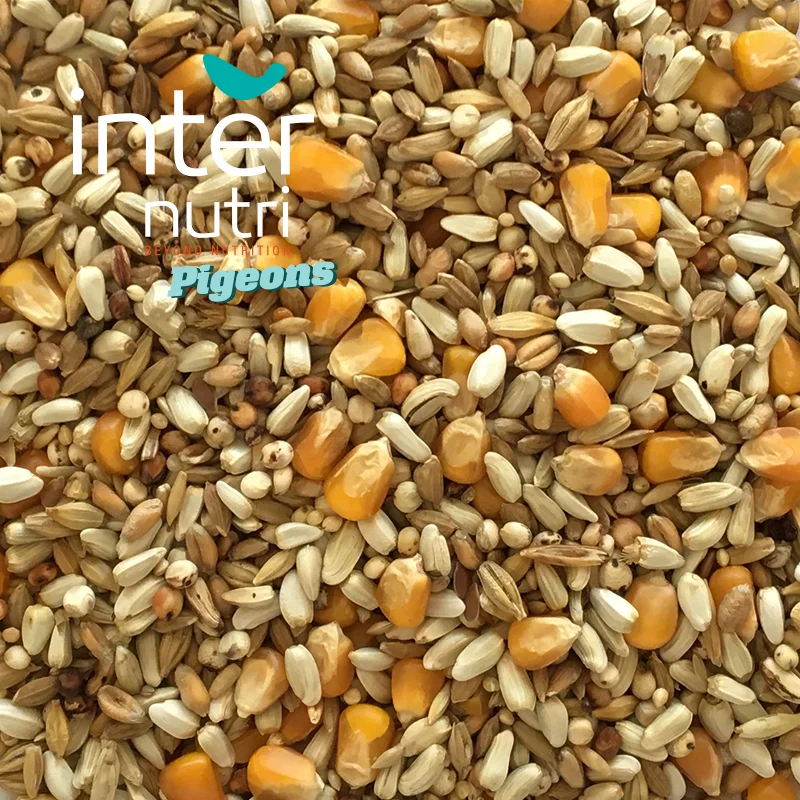 
Seed mixture for pigeons | INTERNUTRI PIGEONS FEMALE 20KG 